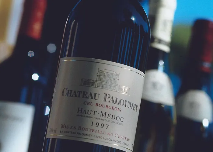 Mercure Paris Porte De Versailles Expo Hotell Vanves